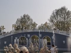 -洛阳郁金香牡丹园