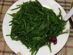 炒海菜-苍洱春饭店