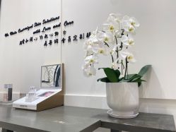 -奥斯芬欧系贵族SPA