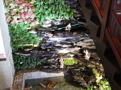 -山水茶艺馆·点心粤菜·30年老字号