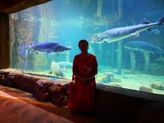 -华夏文旅海洋公园