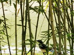 -江南大学(蠡湖校区)