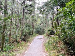 -青龙山国家森林公园