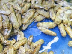 -张树军海鲜(王府壹号店)