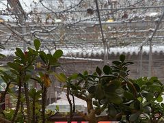 -伊隆斋(什刹海店)