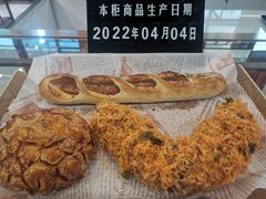 -喜马拉雅森HIMALAYAN FOREST