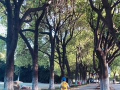 -华东政法大学(松江校区)