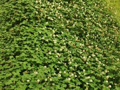 -盘龙城国家考古遗址公园