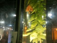 -广东中医药博物馆