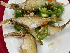 香煎龙利鱼-蛇口康乐快餐鱼仔档(翠苑小区店)