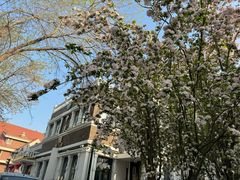 -天津五大道文化旅游区