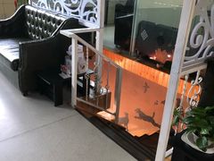 -美联众合动物医院(唯恩分院)