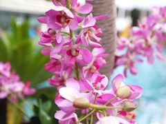 Photo_2013-08-26_01_11_07-阿瓦尼河滨曼谷酒店