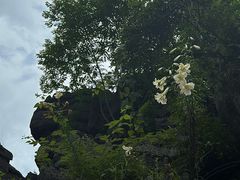 -梭布垭石林景区