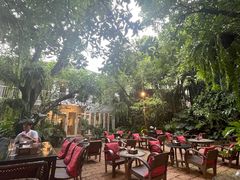 -Fern Forest Cafe