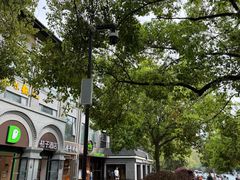 -杭州西湖风景名胜区-满觉陇四眼井