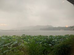 -湖畔居茶楼(湖滨店)