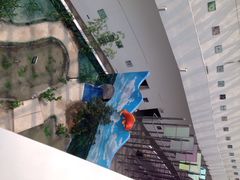 iphone_upload_pic-中国湿地博物馆