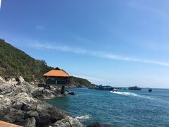 -珊瑚岛