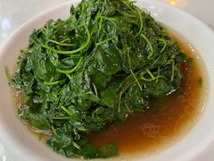 -锦園(伊势丹美食城店)
