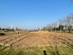 -上海山野camping·户外天幕烧烤·团建拓展营地