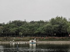 -西安汉城湖景区