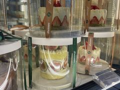 -黑草莓(重庆路店)