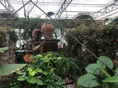 -金稼园·金平湖农家菜