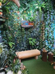 -酷嗒动物文化乐园(cutezoo西溪乐天城店)