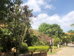 -三亚海棠湾万丽度假酒店