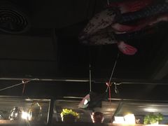 -探鱼·鲜青椒爽麻烤鱼(广州花都来又来店)