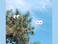 景点-朝阳公园
