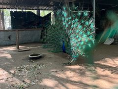-草根堂农场