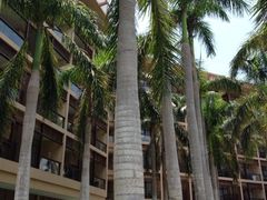 iphone_upload_pic-三亚亚龙湾红树林度假酒店