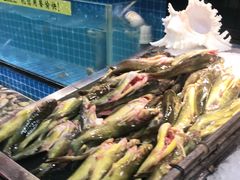 -苏格里岛自助烧烤百汇