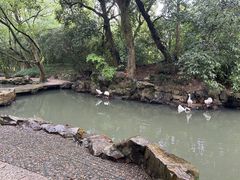 -兰亭风景区