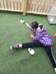 -萌宠亲子动物乐园(槐房万达店)