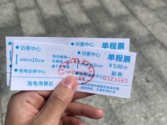 -广东惠东海龟国家级自然保护区