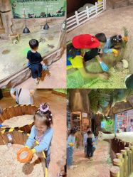 -宝燕乐园(闵行旗舰店)