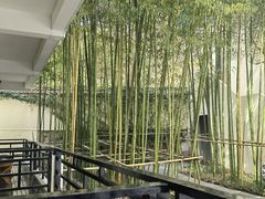 -普陀山雷迪森庄园