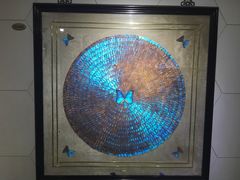 -上海昆虫博物馆