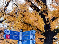 -日本风情街