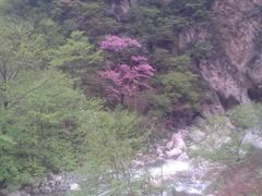 android_upload_pic-田峪河公园