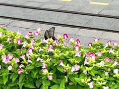 -江南环球港