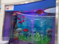 -雅悦齿科(顾村公园店)