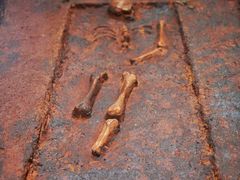 -盘龙城国家考古遗址公园