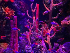 -沈阳海洋探索中心