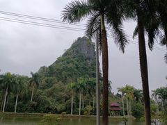 -南宁花花大世界景区