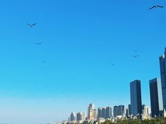 -东港音乐喷泉广场
