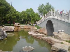 -水绘园